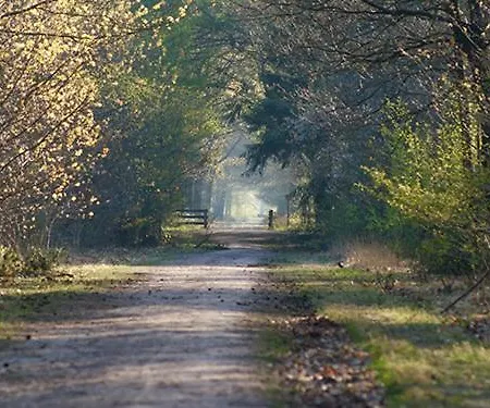 Merelhof