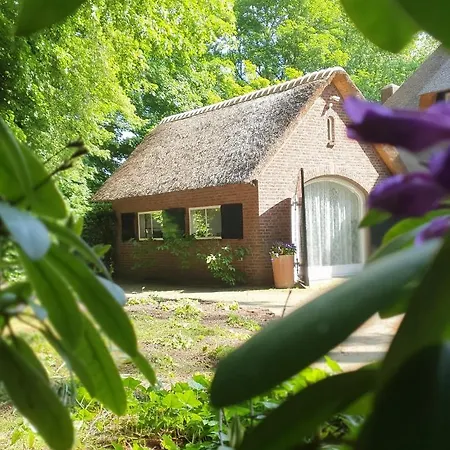 Bed & Breakfast Merelhof *